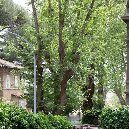 Dandolo Rzym